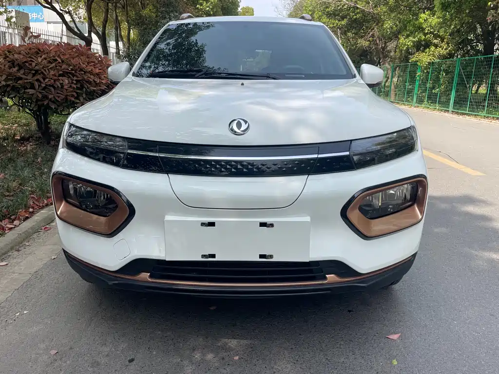 Dongfeng Box 2022 Champion 201KM