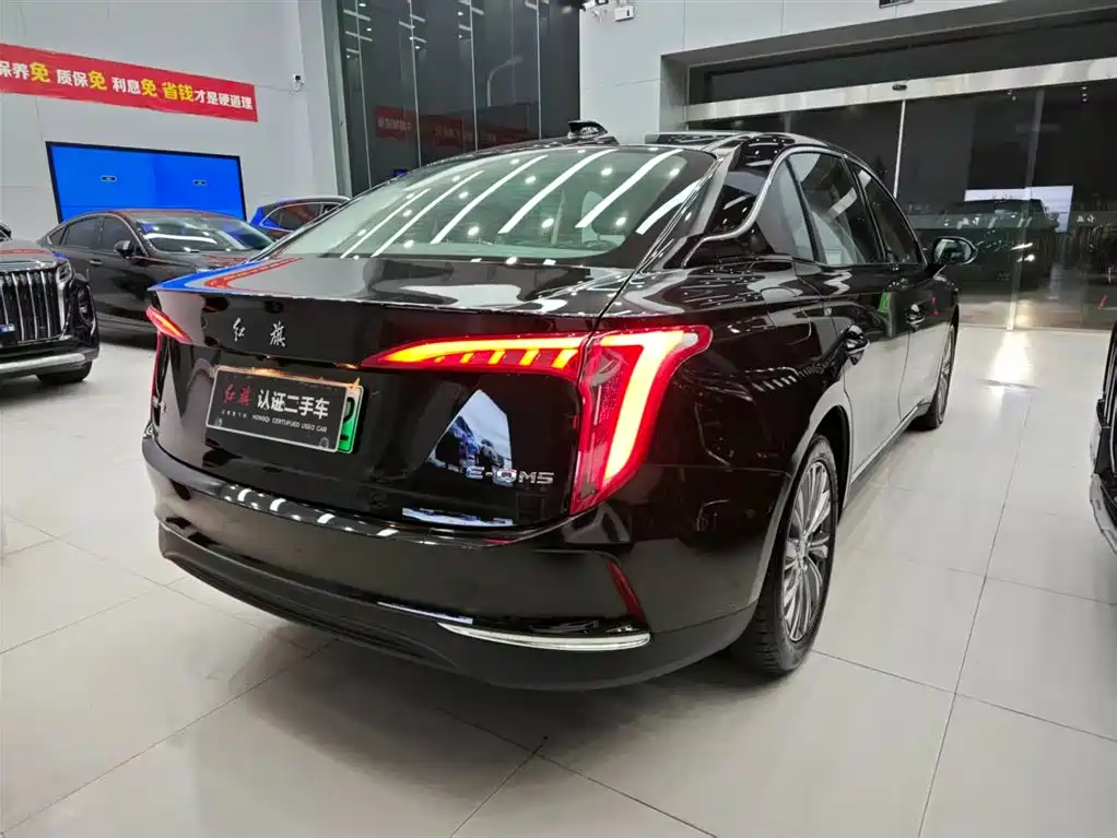 Hongqi HONGQI E QM5