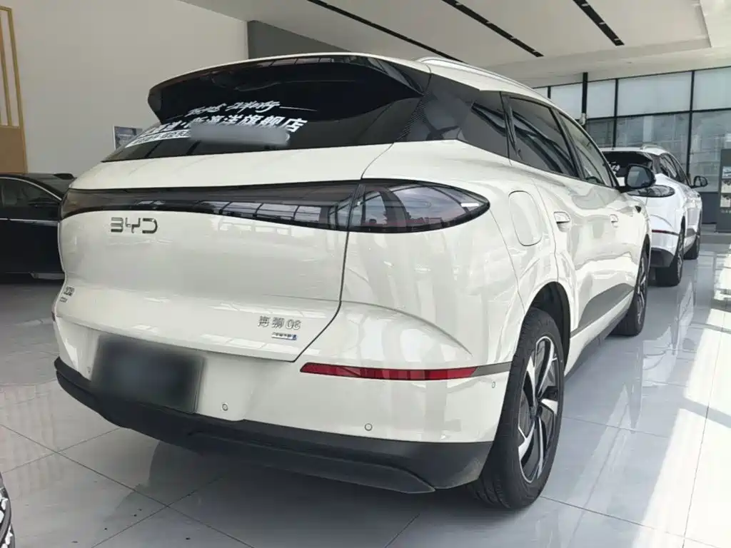 BYD Haisi 06 — миниатюра 7