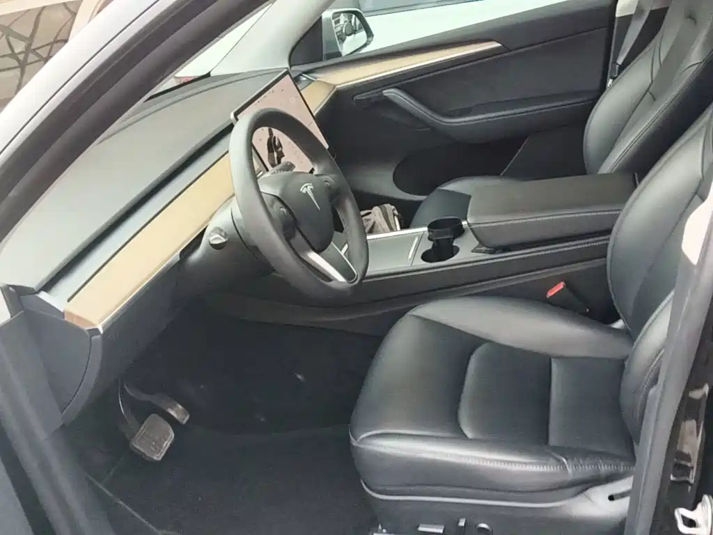 Tesla Model Y — миниатюра 15