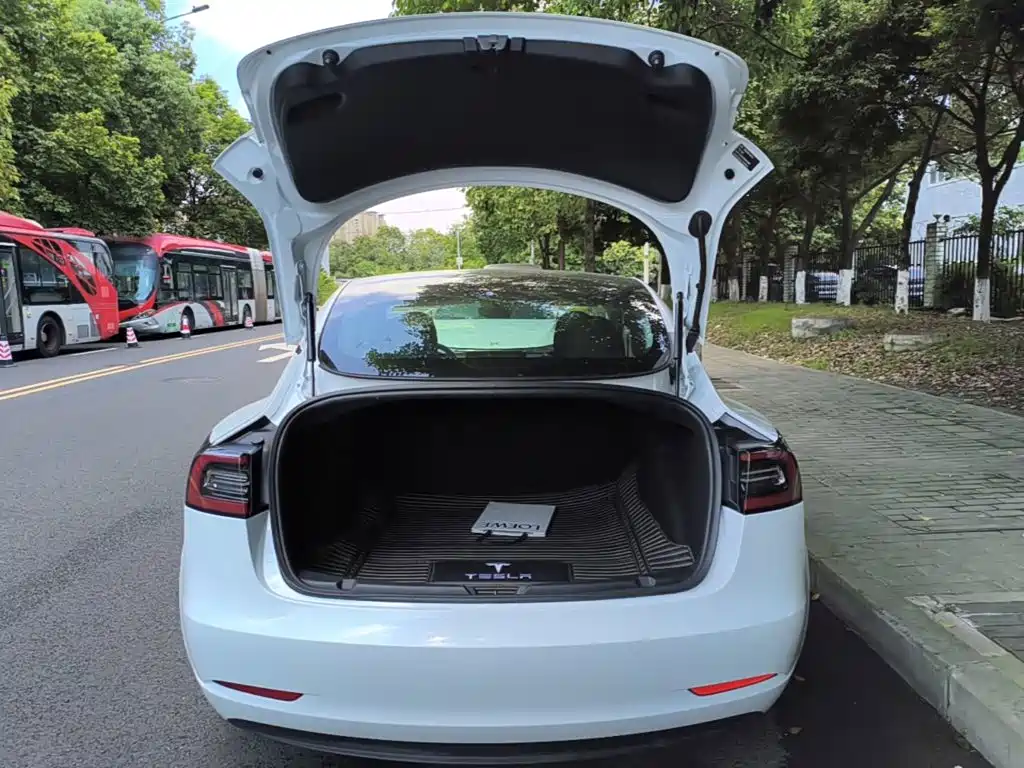 Tesla Model 3 — миниатюра 19