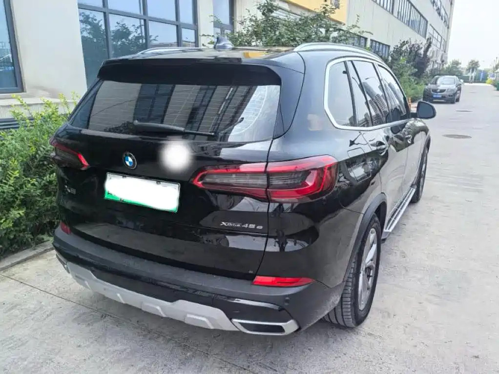 BMW X5 New Energy (Import) — миниатюра 8