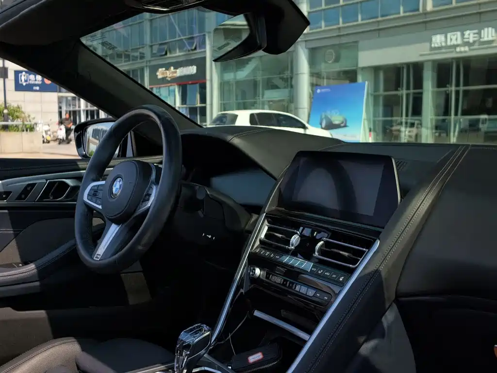 BMW 8 Series — миниатюра 9