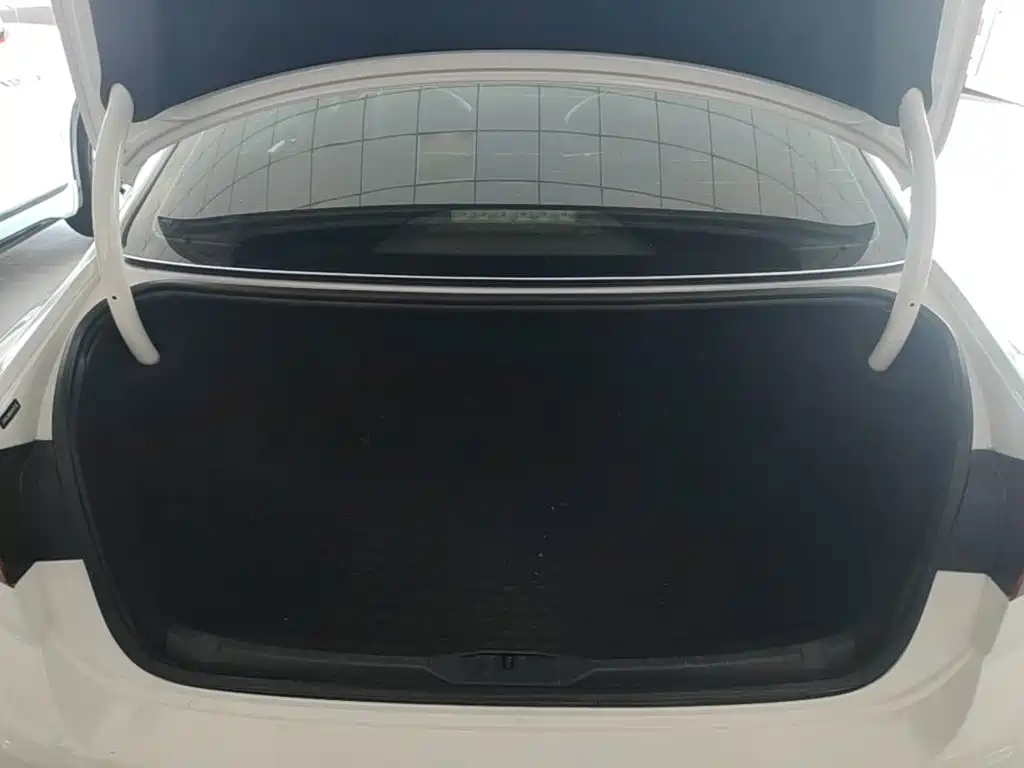 Volkswagen Lamando — миниатюра 19