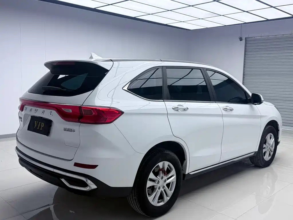 HAVAL M6