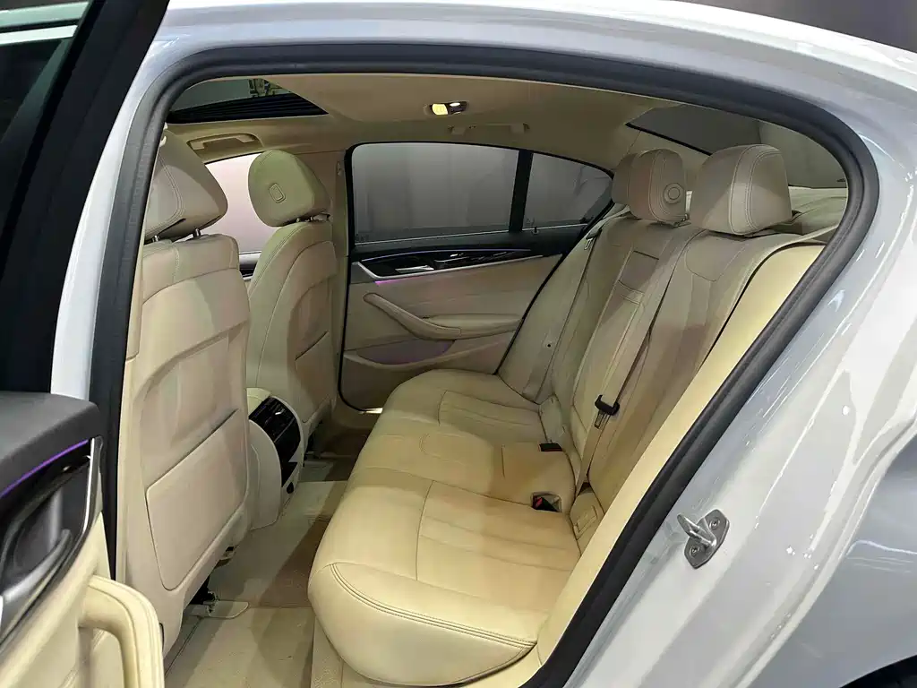 BMW 5 Series 5 2018 530i M Sport