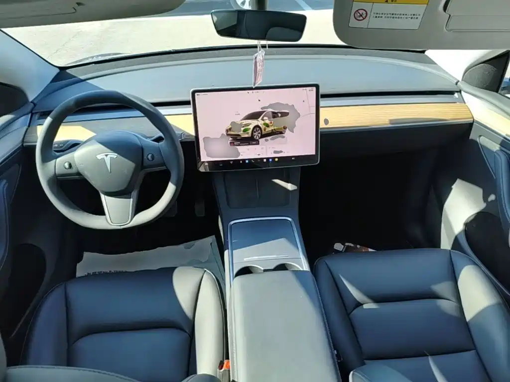 Tesla Model Y — миниатюра 10