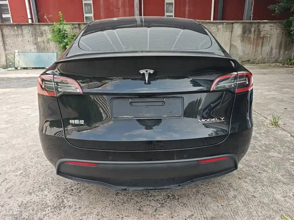 Tesla Model Y — миниатюра 6