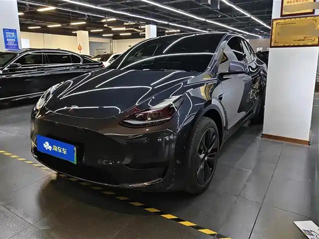 TESLA MODEL Y 2024