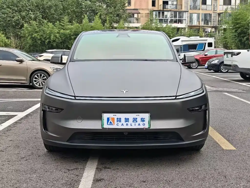 Tesla Model Y — миниатюра 3