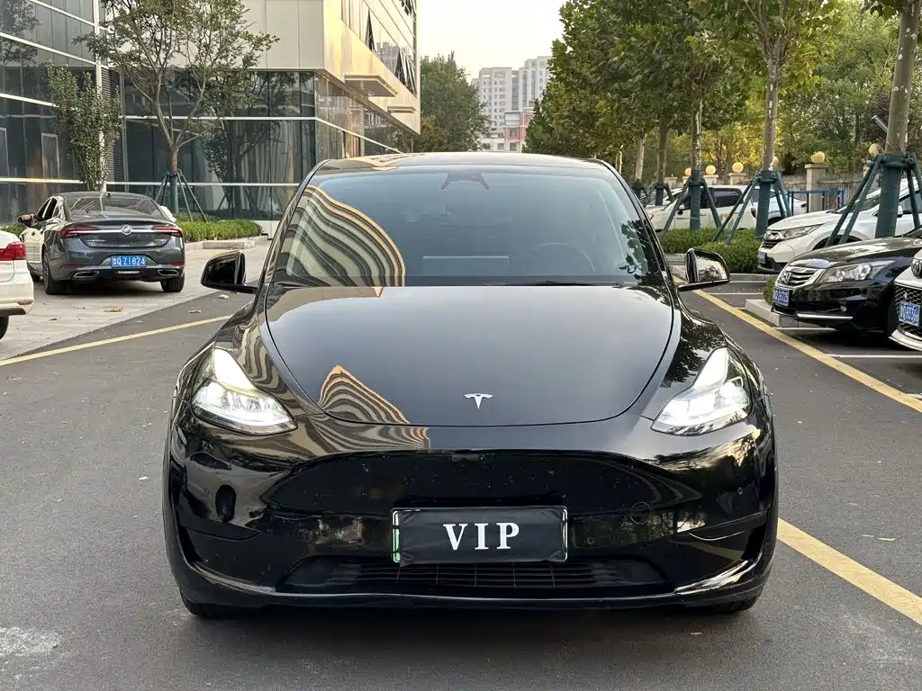 Tesla Model Y — миниатюра 2