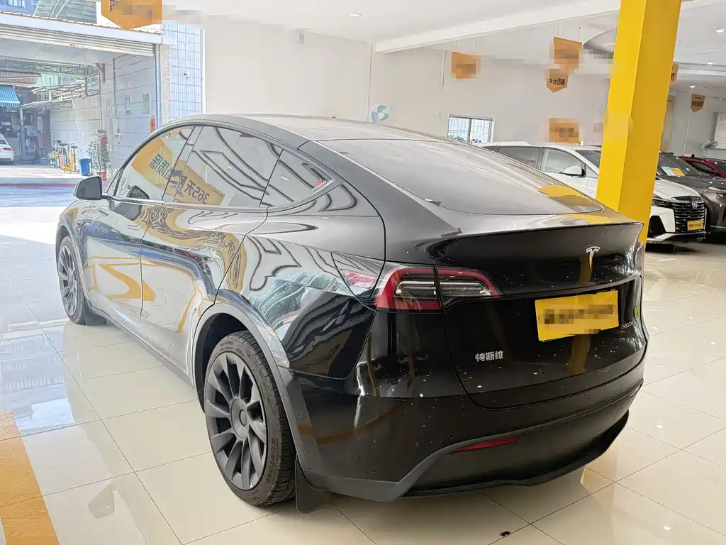 Tesla Model Y — миниатюра 10