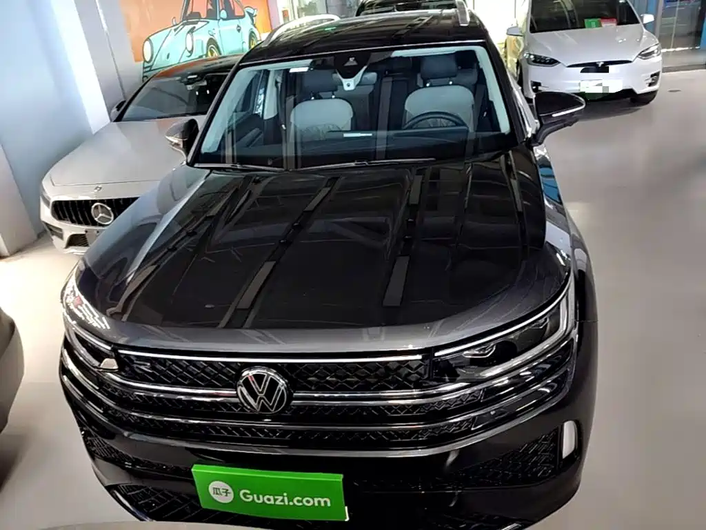 Volkswagen Tavendor — миниатюра 3