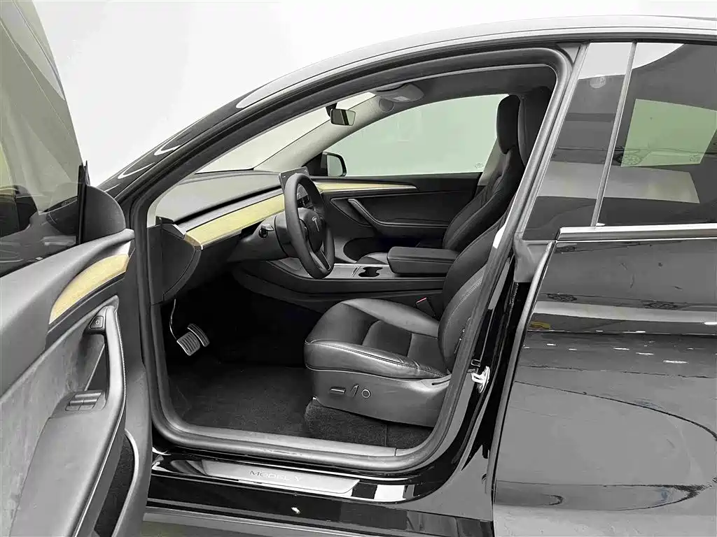 Tesla Model Y — миниатюра 6