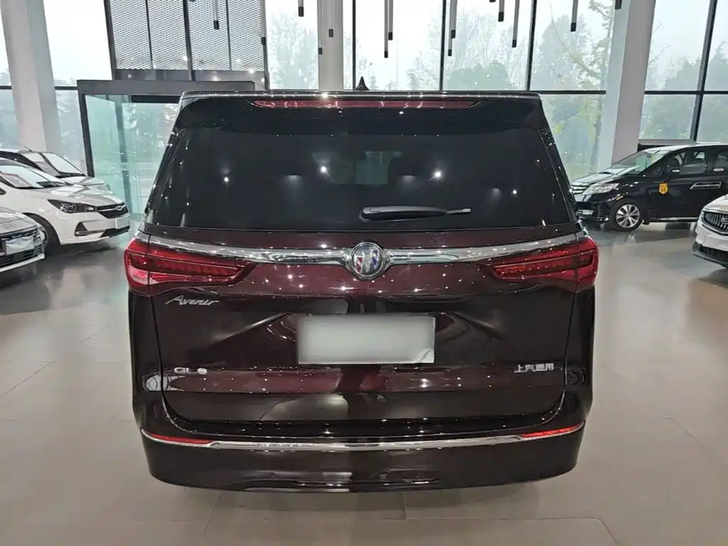 Buick GL8 — миниатюра 6
