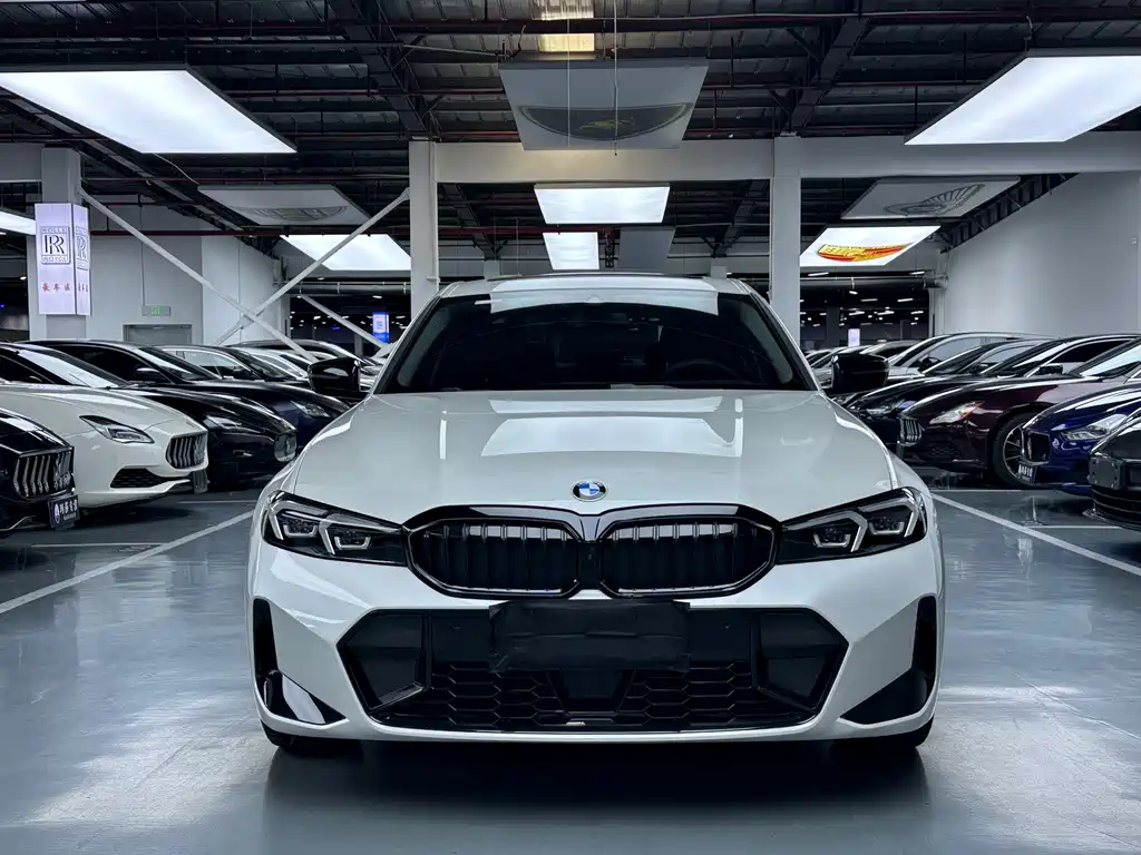 BMW 3 Series — миниатюра 2