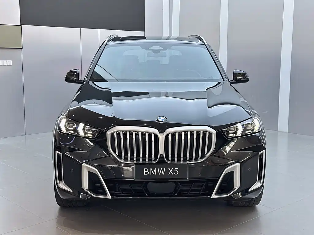 BMW X5 — миниатюра 2