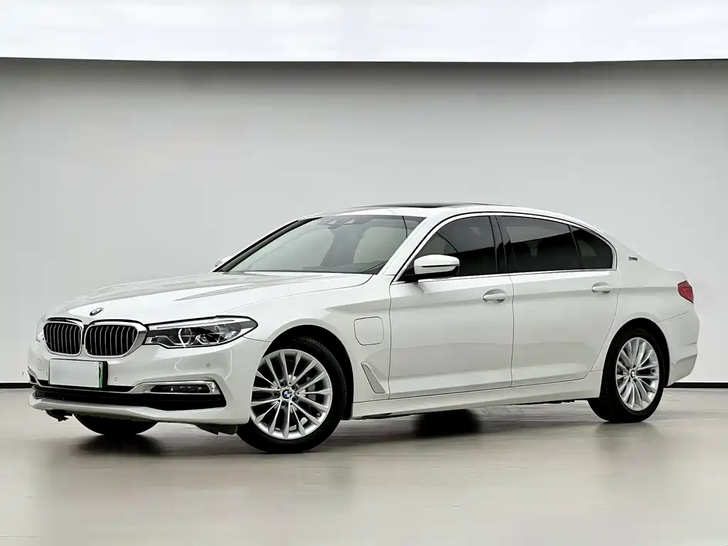 BMW 5 Series New Energy 2019