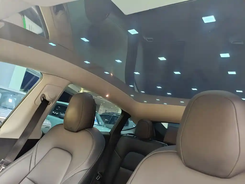 Tesla Model Y — миниатюра 15