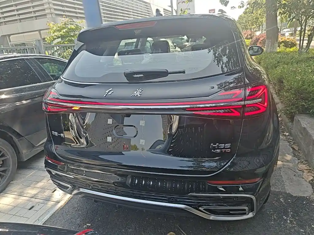Hongqi HS5 2025 2.0T Pro