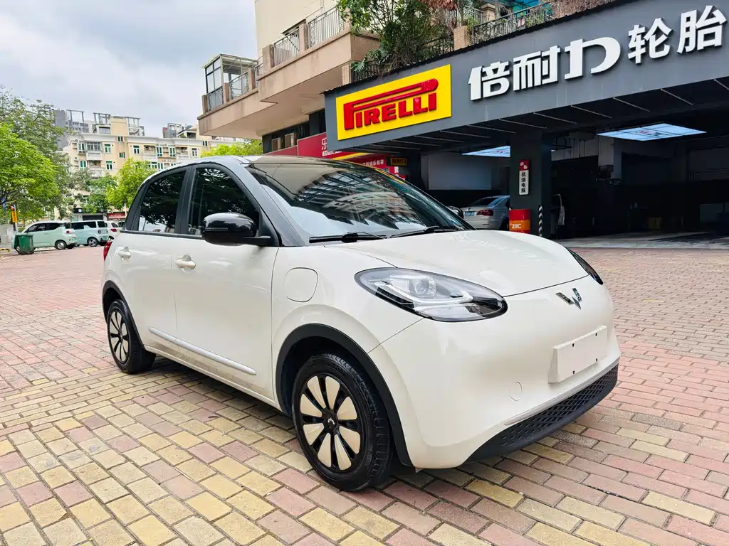 Wuling Bingo 2024