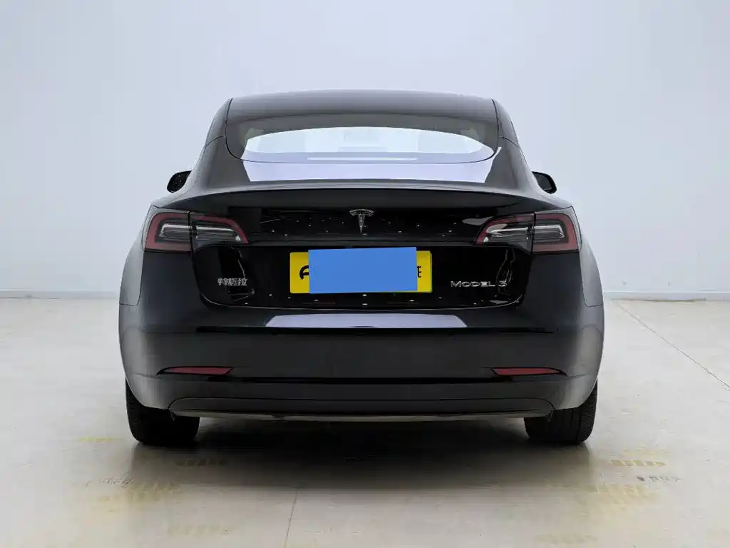 Tesla Model 3 — миниатюра 5