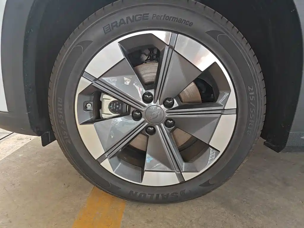 Rayleigh Ruilan 7 — миниатюра 23