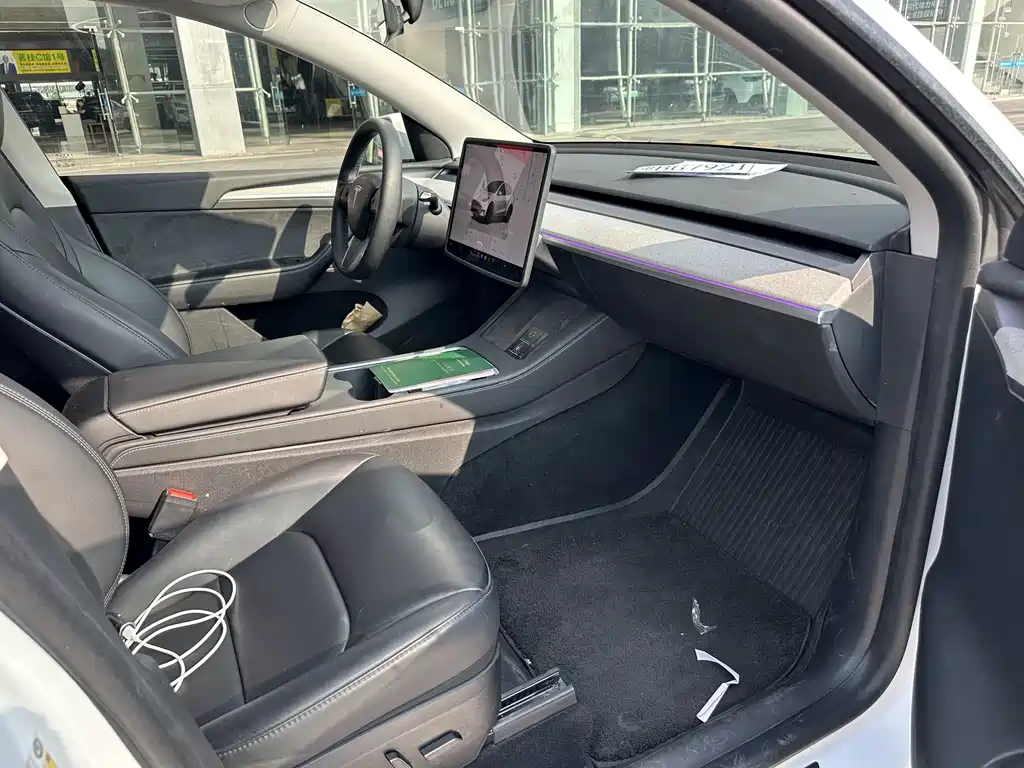 Tesla Model Y — миниатюра 11