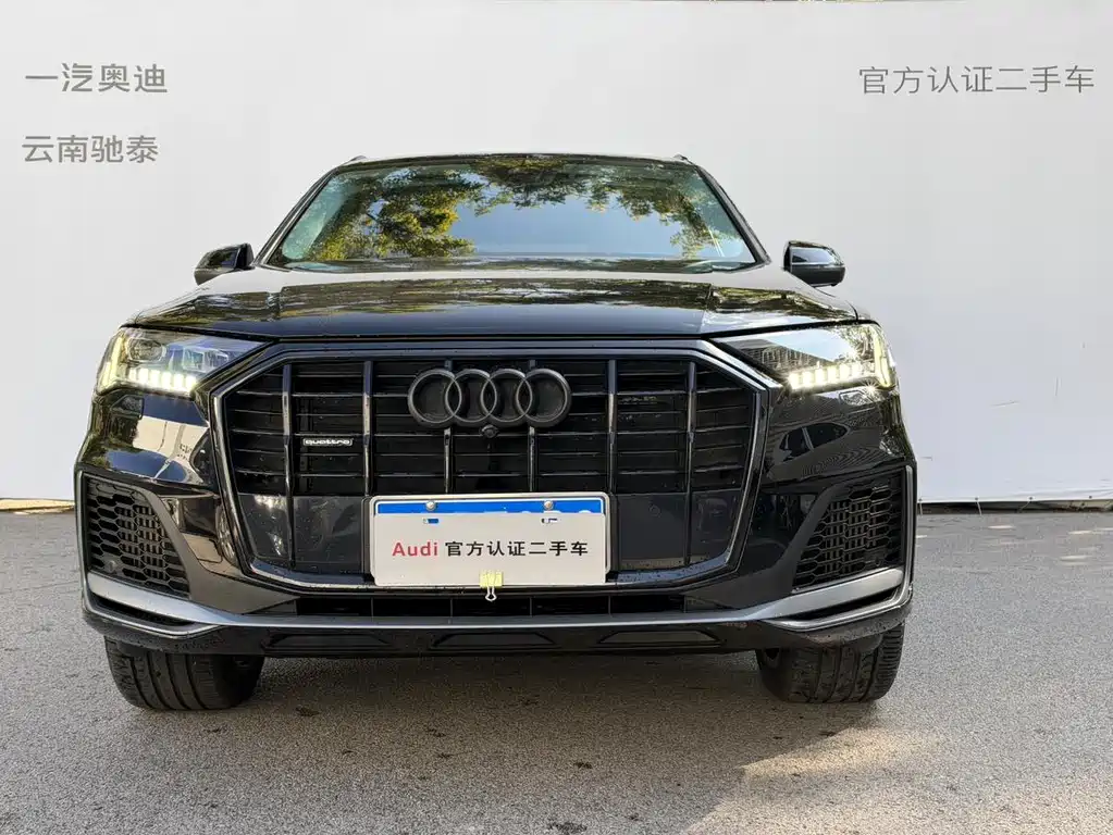 Audi Q7 — миниатюра 2