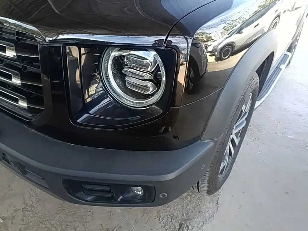 Haval Big Dog — миниатюра 24