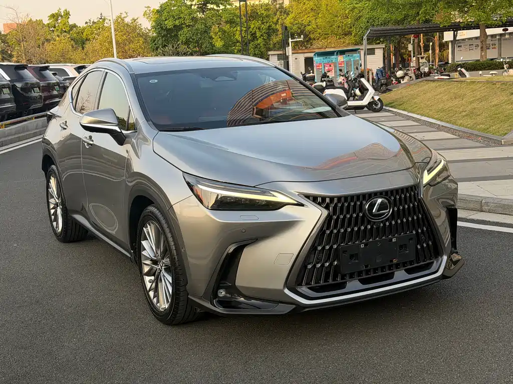 LEXUS NX NEW ENERGY