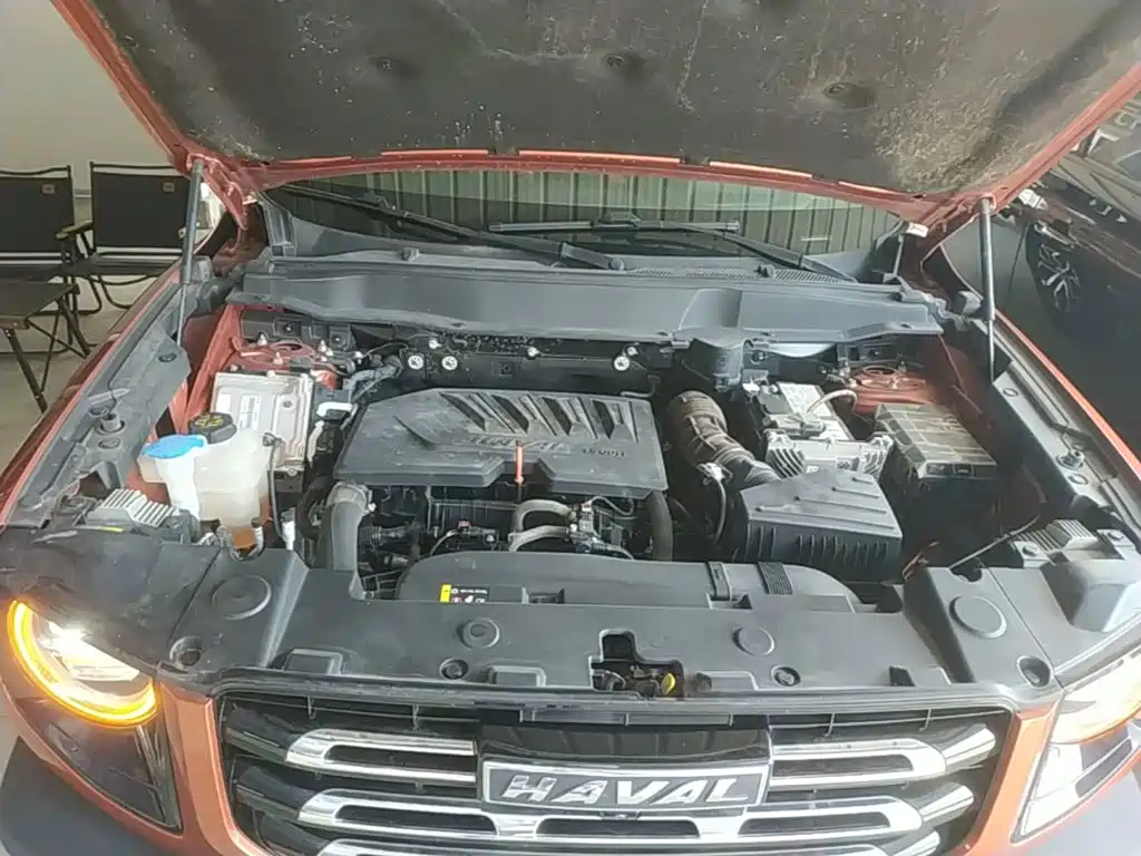 Haval Big Dog — миниатюра 20