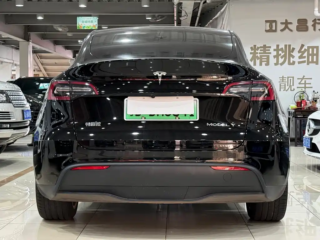 Tesla Model Y — миниатюра 15