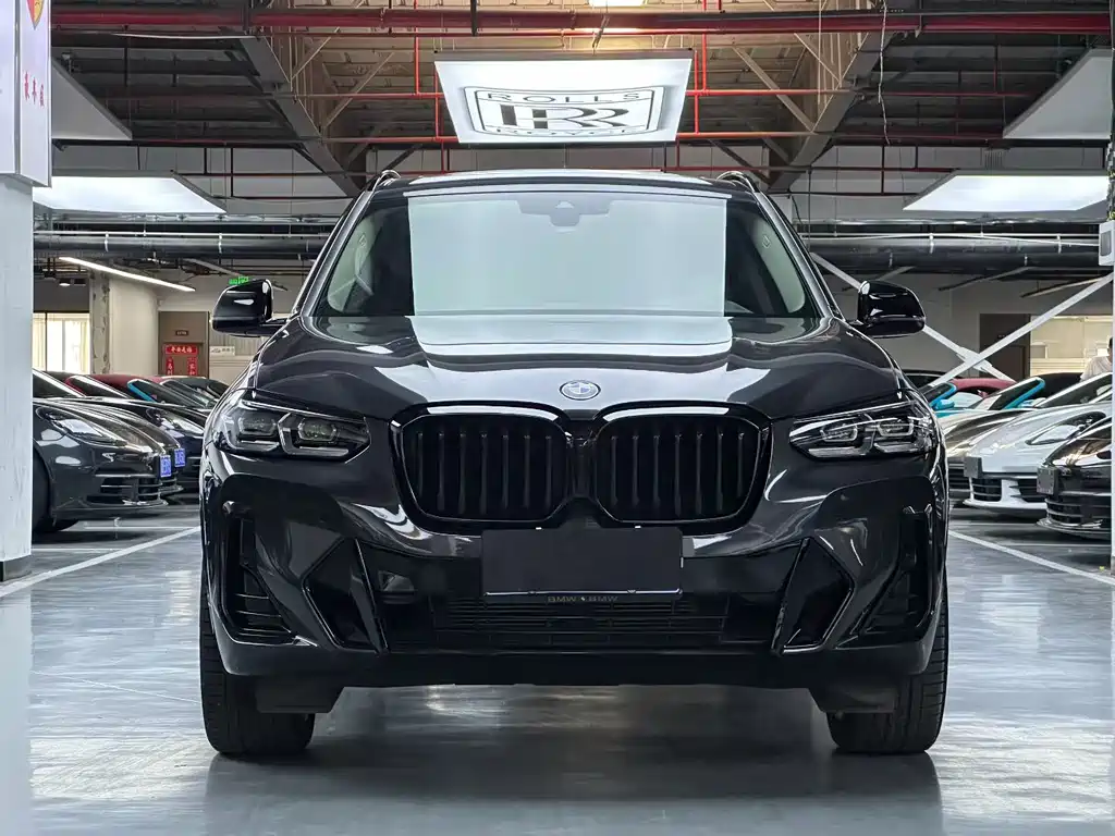 BMW X3 — миниатюра 2