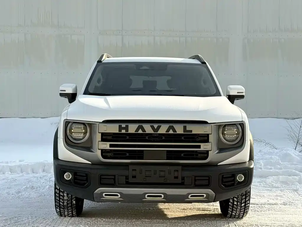 HAVAL BIG DOG
