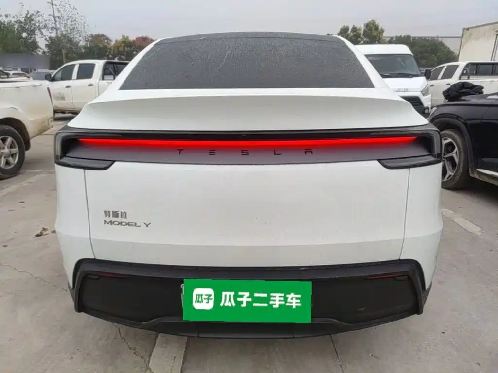 Tesla Model Y — миниатюра 6
