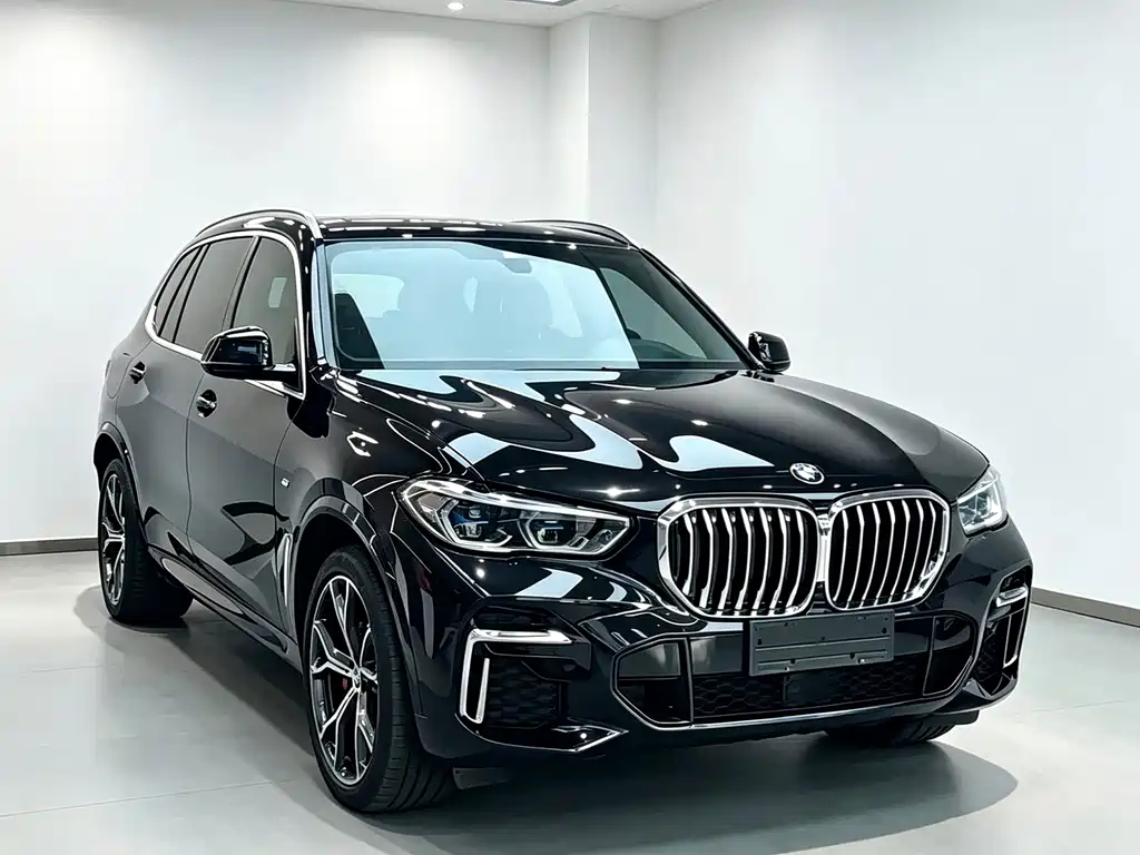 BMW X5 — миниатюра 3