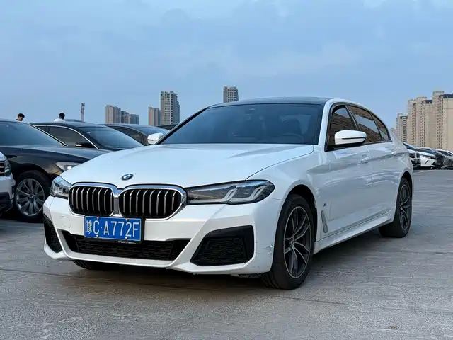 2021 BMW 5er