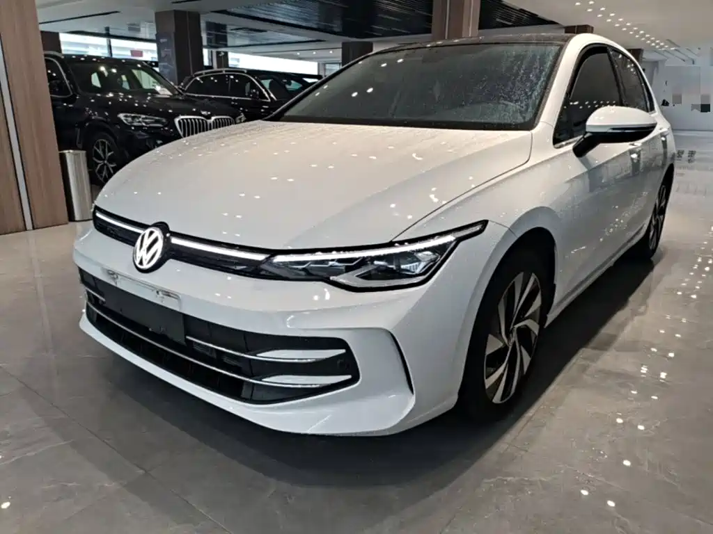 高尔夫 2025款 改款 300TSI Pro 2025