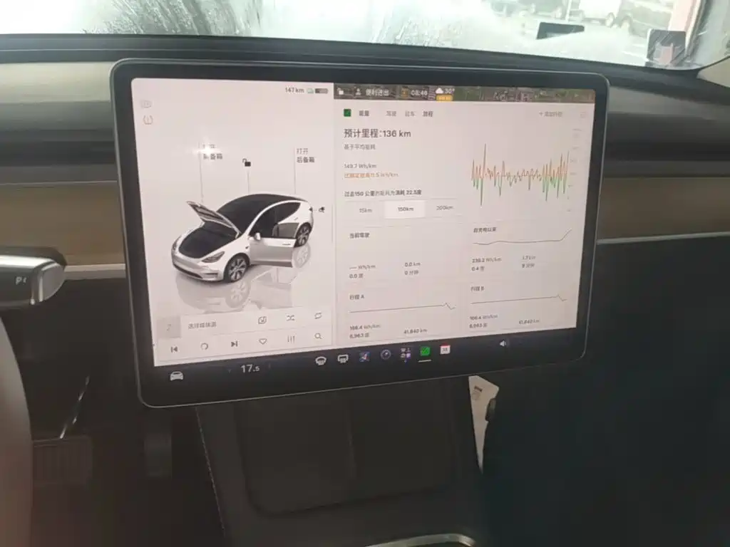 Tesla Model Y — миниатюра 13
