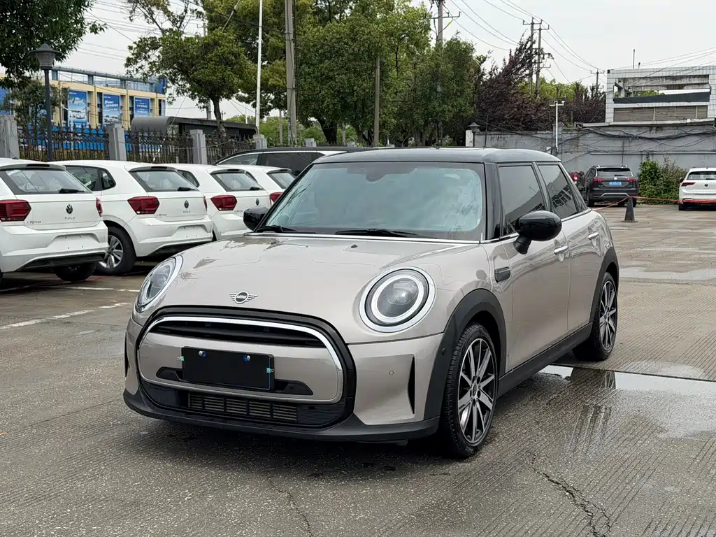 Mini Mini 2024