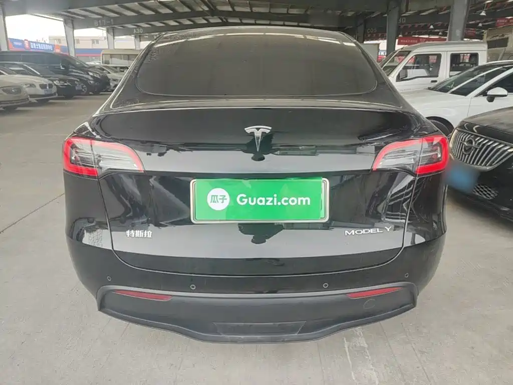 Tesla Model Y — миниатюра 6
