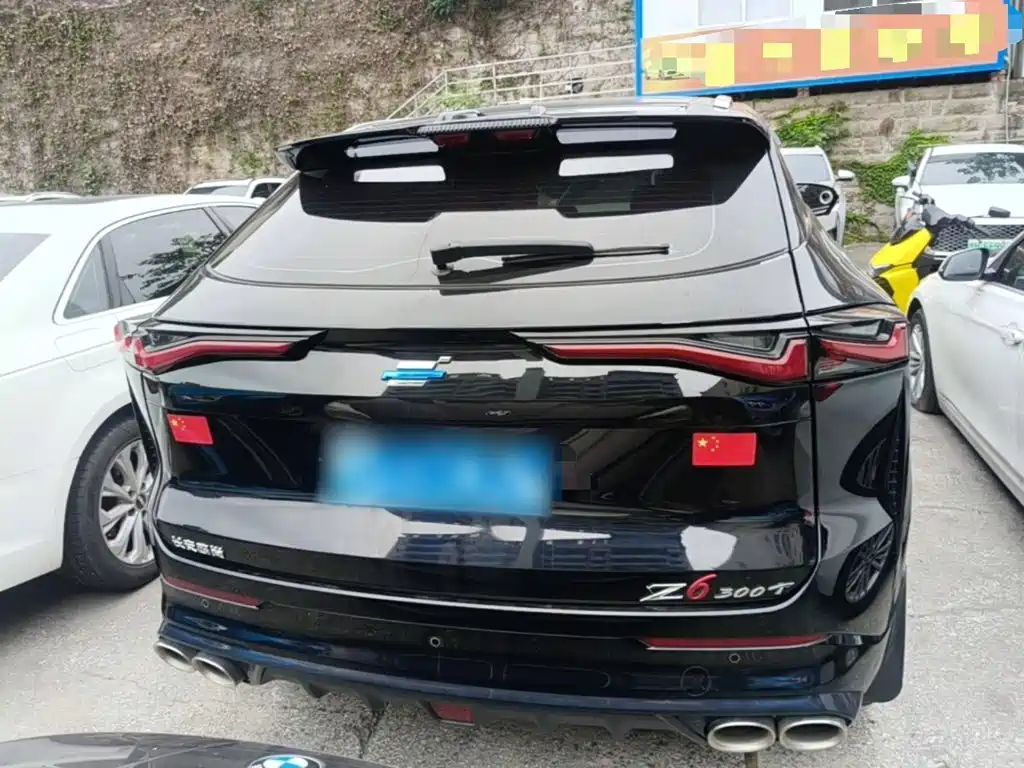 Oshan Oushang Z6 — миниатюра 6