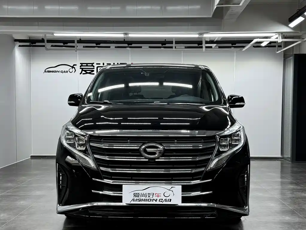 GAC Motor Trumpchi M8 — миниатюра 2