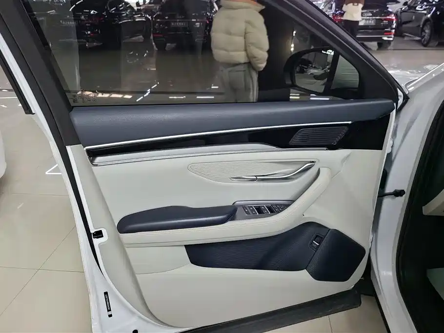 BYD SONGJIANG NEW ENERGY