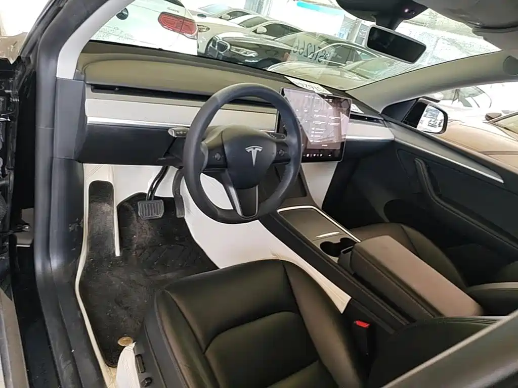 Tesla Model Y — миниатюра 10