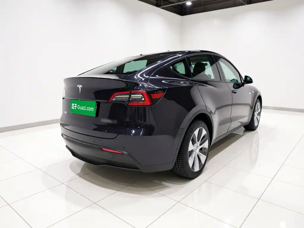 Tesla Model Y — миниатюра 4