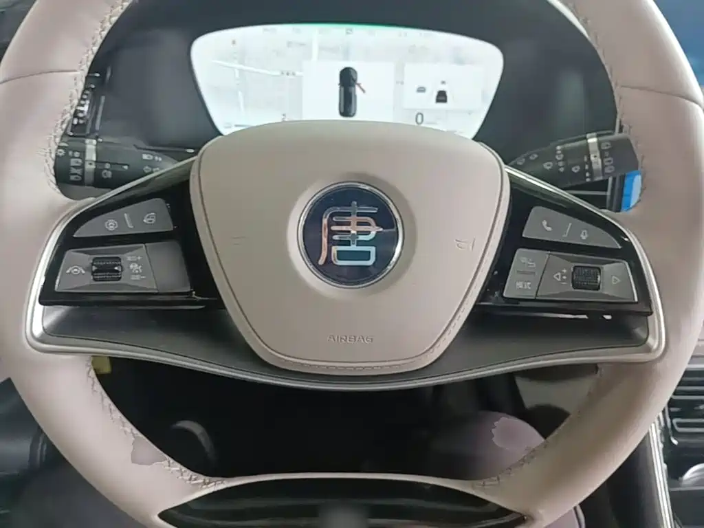 BYD Tang New Energy — миниатюра 11