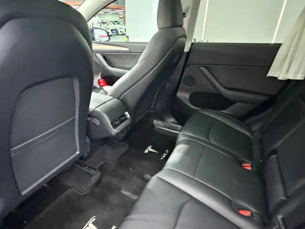 Tesla Model Y — миниатюра 10