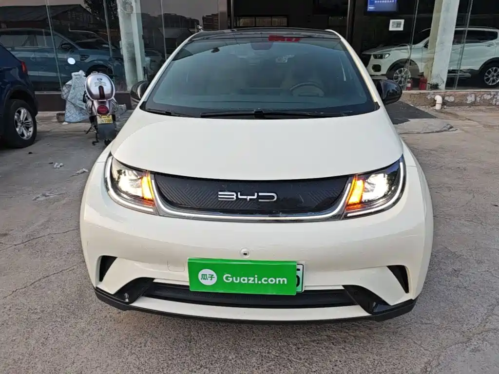 BYD Dolphin — миниатюра 3